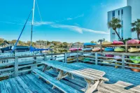 Luxurious Views and Heated Pool - Stunning Coastal Retreat