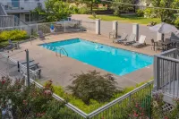Tranquil Hideaway - Private Pool, Close to Downtown Hotels in Berry Hill
