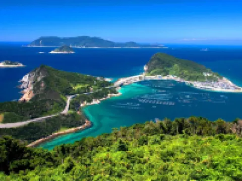 秋沢ホテル 宿毛のホテル