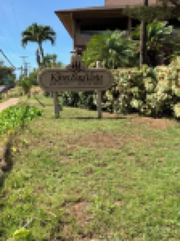 Clean Comfortable Condo that is Steps to the Beach, Affordable w/Free Parking