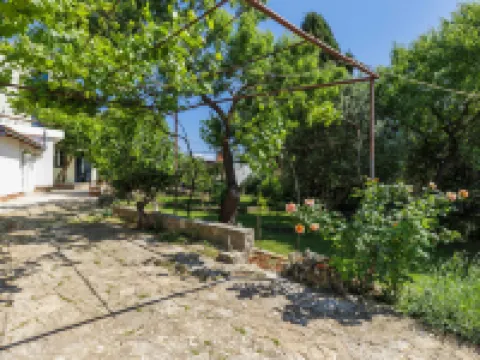 Maslina Hotels in Galizana