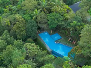 Wayanad Silverwoods Forest Resort & Spa