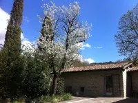 Corte San Ruffillo-Azienda Agrituristica - Farmhouses