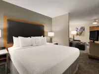 SpringHill Suites Phoenix North Hotels near North Mountain