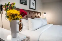 Four Points by Sheraton Allentown Lehigh Valley - 3-Sterne