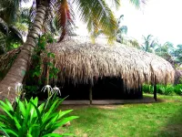 Eco Hotel Las Palmeras Hotels in Cartagena