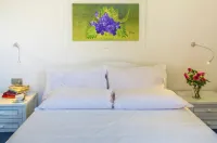 Tenuta Solomita