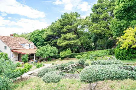 Apartment & Rooms Papa