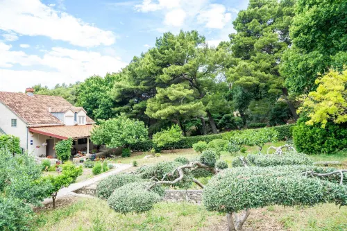 Apartment & Rooms Papa Hotel a Opcina Zupa Dubrovacka