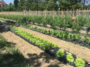 호텔 미라몬티 바그노 디 로마그나
