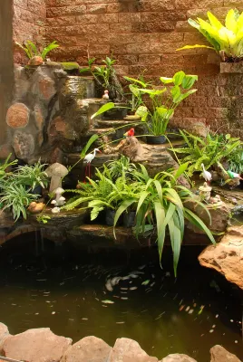 Darlington Place Общественные зоны Photos