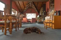 Posada Del Fin Del Mundo