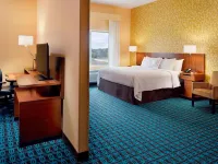 Fairfield Inn & Suites Hendersonville Flat Rock Hotels in Henderson County