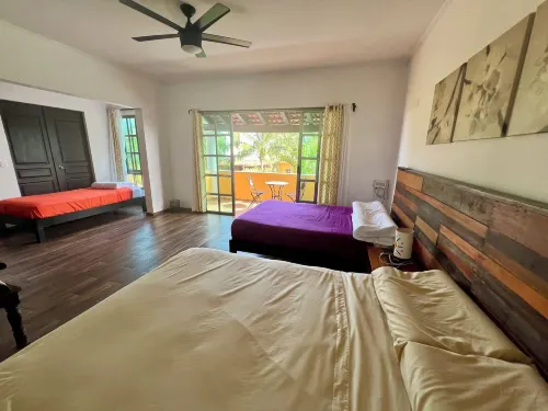 Cancun-Soho Hotels in Alfredo V. Bonfil