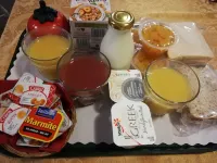 アディントン スラジアム モーテル - ペット同伴可