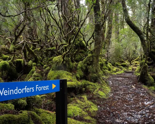 Peppers Cradle Mountain Lodge Near Hotel Photos