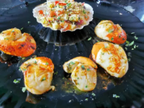 莫雷阿姆斯飯店 住宿飯店