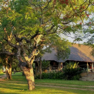 Timbavati Safari Lodge