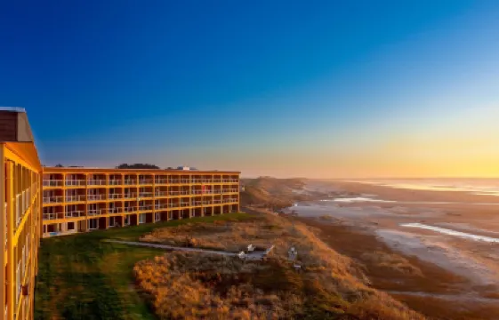 Driftwood Shores Resort Hotels in 