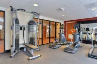 Hampton Inn Detroit/Auburn Hills South Hotels in Pontiac