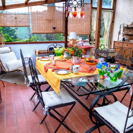 B&B Glicine