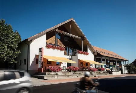 Hôtel la Croix Blanche Отели в г. Пейерн