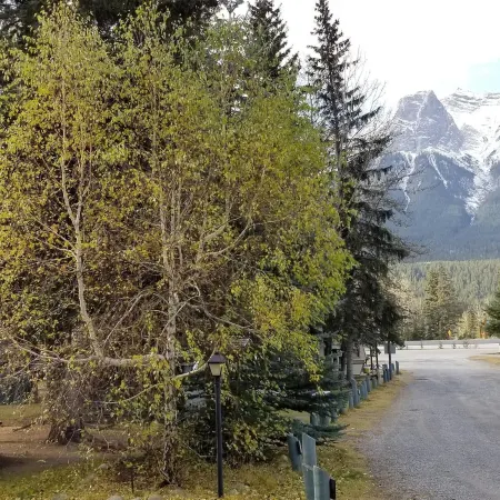 Rundle Chalets
