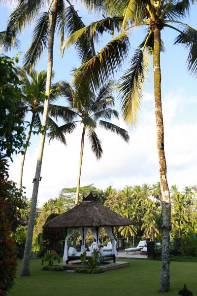 共有エリア ヴァイスロイバリの写真