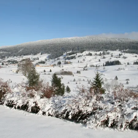 Au Coeur du Lapidaire