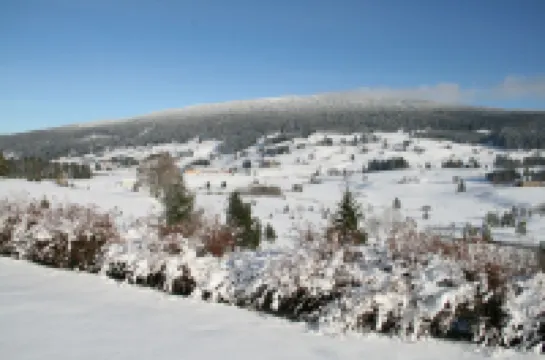 Au Coeur du Lapidaire