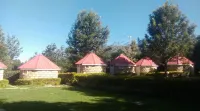 Look Up Guest House Hotels in 