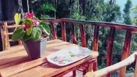 Ella Camping Resort - Pet-friendly