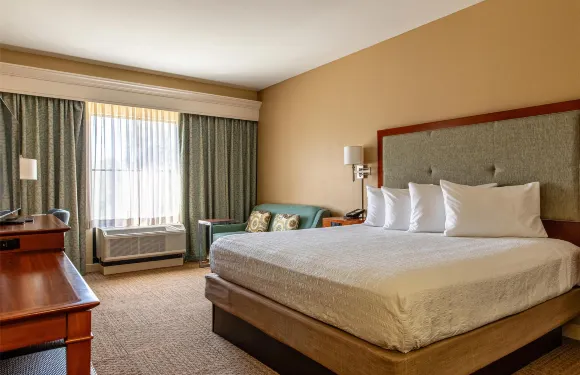 希爾頓歡朋酒店-查爾斯頓丹尼爾島