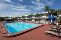 Super 8 by Wyndham St. Petersburg Hotel di Pinellas Park
