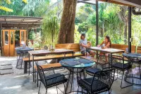 Believe Surf & Yoga Lodge Santa Teresa Hotels in Cobano