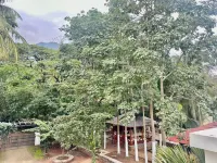 Bamboo Nest