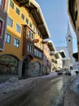 ホテル アドラー - ペット同伴可