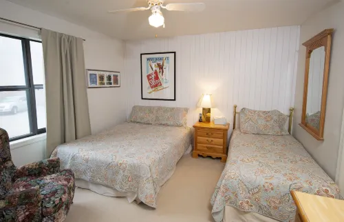 Winterplace at Okemo, A Vail Resorts Property - 2-Star