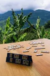 Glamping Jardín Hotels in Tamesis