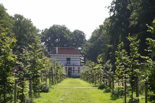 Bed & Breakfast Rijsterbosch - Homestays