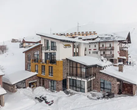 ホテルツィガ グダウリのホテル