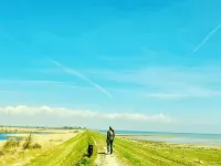 Hotel Stokkegaardens Bnb & Apartments Hotels in Lolland
