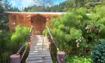 Casa Mujer Villa Agueda - Hostel