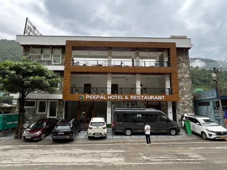 Peepal Hotel And Restaurant Отели в г. Рудрапраяг