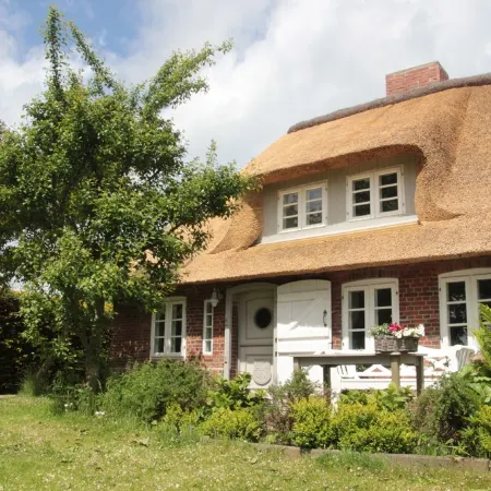 Fantastic thatched cottage on the North Sea coast with a separate sauna house