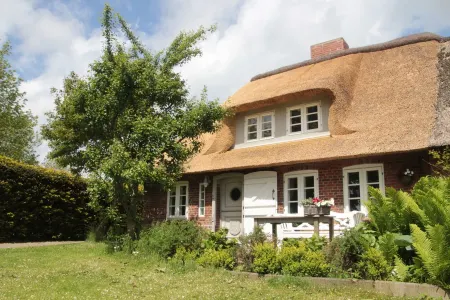 Fantastic thatched cottage on the North Sea coast with a separate sauna house