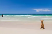 Steps To Beach - Spacious Clean Cottage w/ Cook Hotels in Duncans