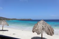 Oceanfront Luxury Living - 2 Bedroom Condo