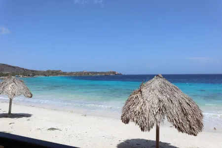 Oceanfront Luxury Living - 2 Bedroom Condo