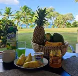 Studio vue mer Gwada ds Village Vacances Ste Anne